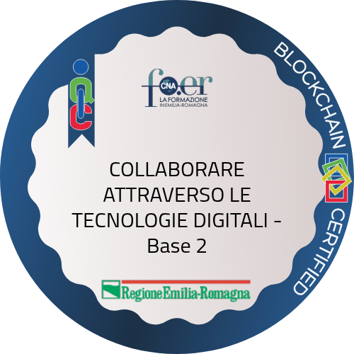 Badge pubblico 82798